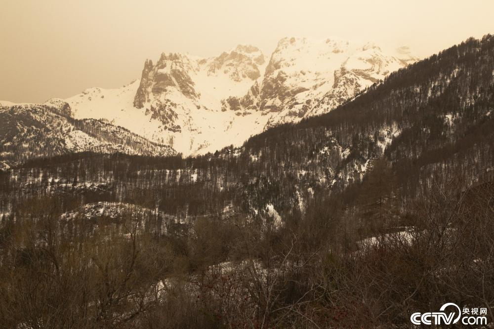 1711952644533.png dust01.png