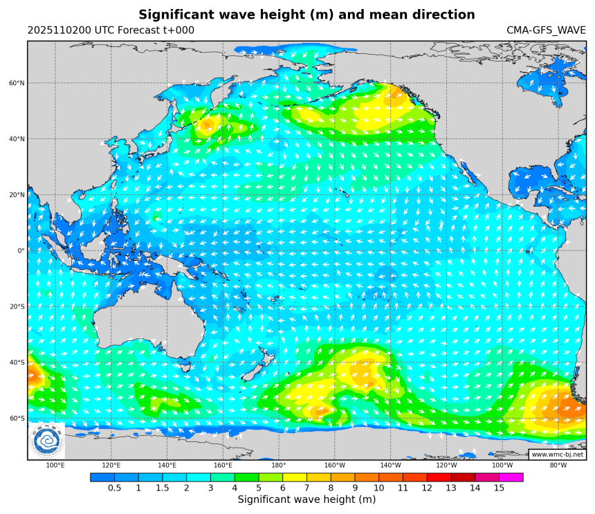 11/02 08时 +000小时