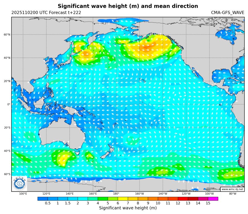 11/02 08时 +222小时