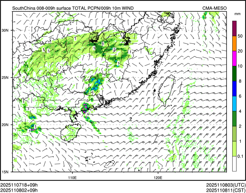 11/08 02时 +009小时