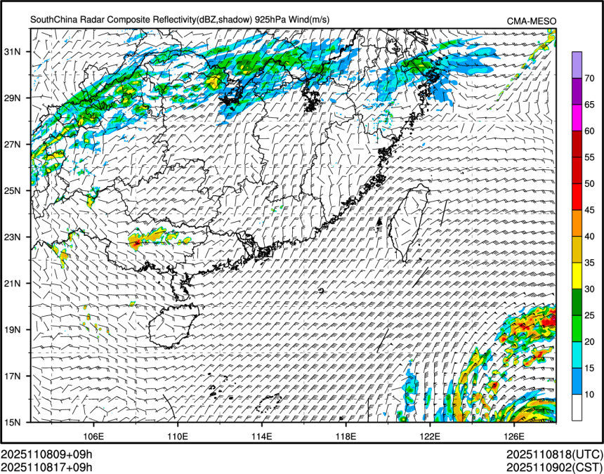 11/08 17时 +009小时