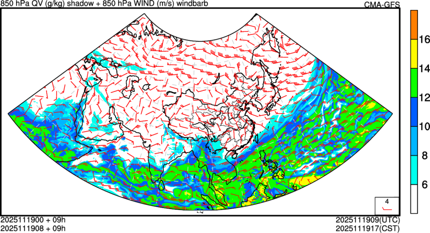 11/19 00时 +009小时