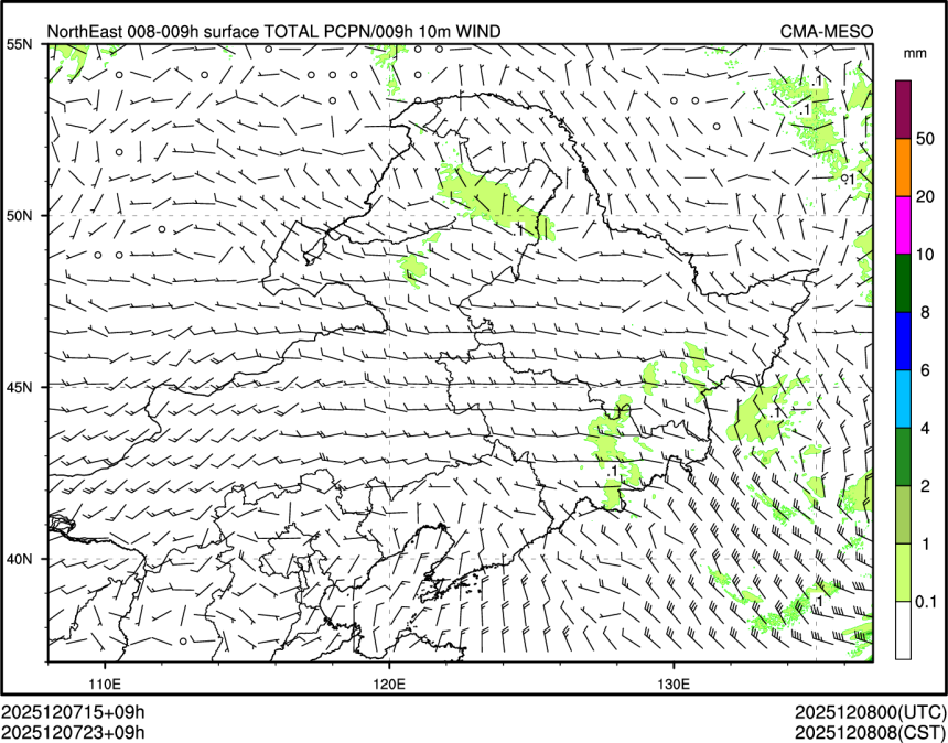 12/07 23时 +009小时