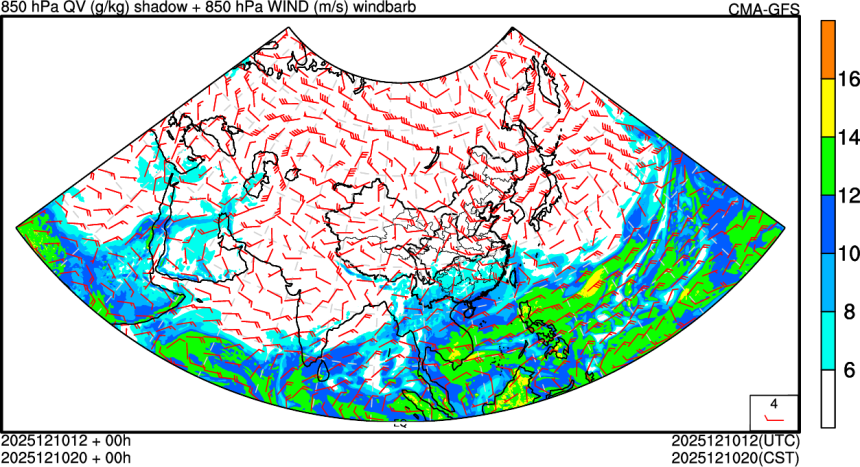 12/10 12时 +000小时