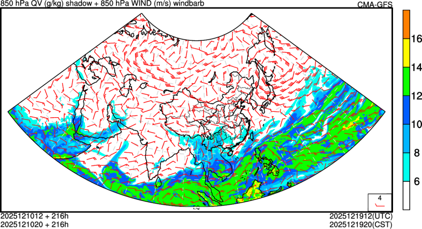 12/10 12时 +216小时