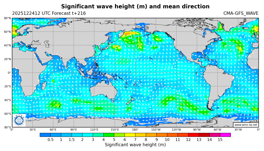 12/24 20时 +216小时