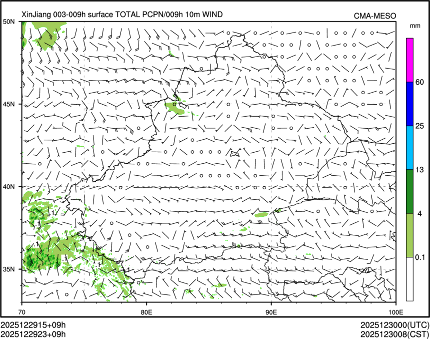 12/29 23时 +009小时