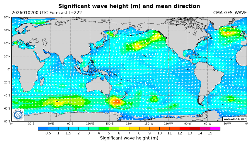 01/02 08时 +222小时