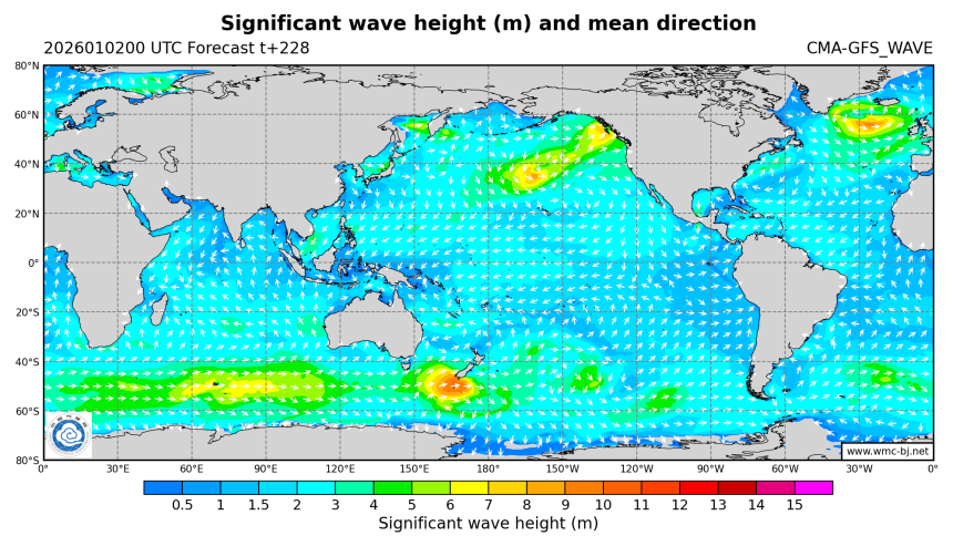 01/02 08时 +228小时