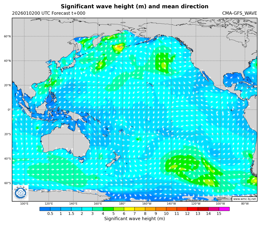 01/02 08时 +000小时