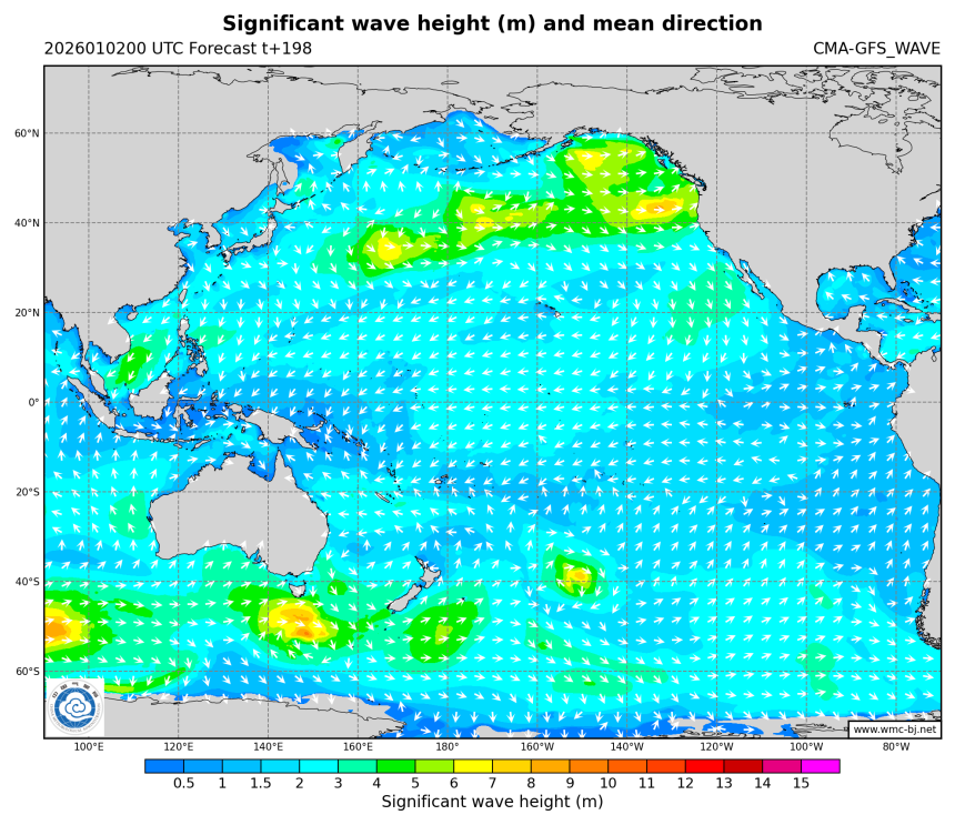 01/02 08时 +198小时