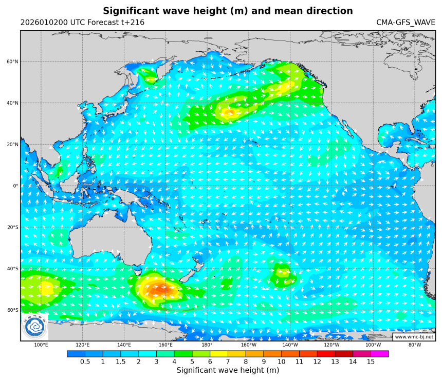 01/02 08时 +216小时