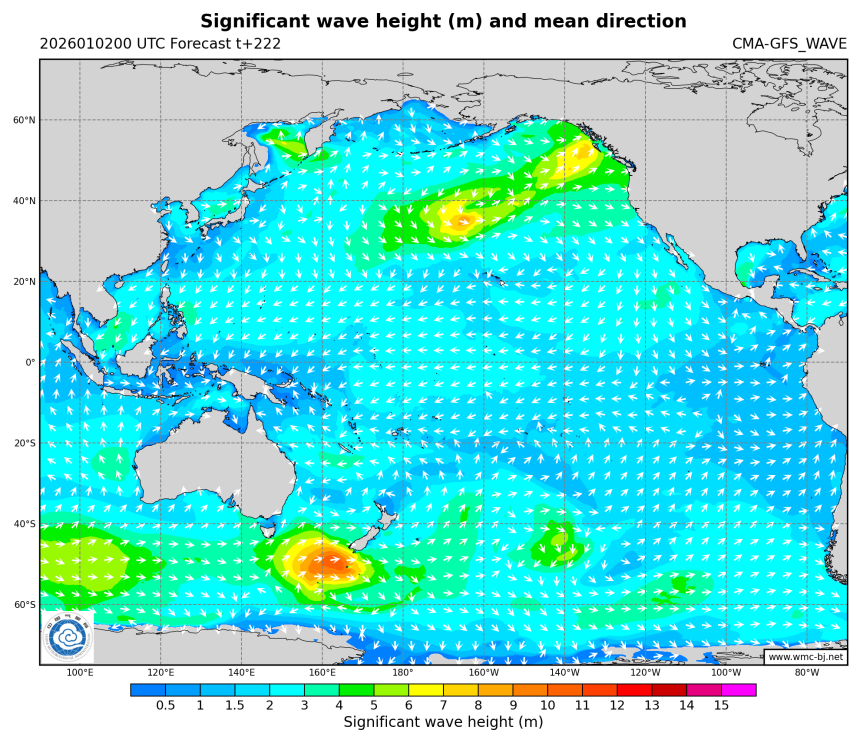 01/02 08时 +222小时
