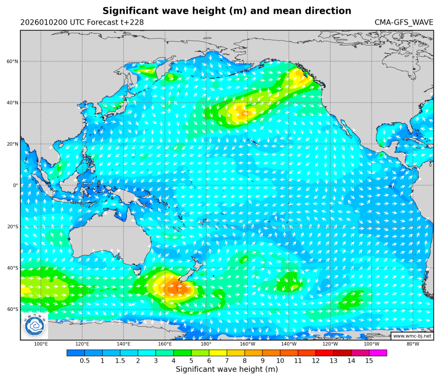 01/02 08时 +228小时