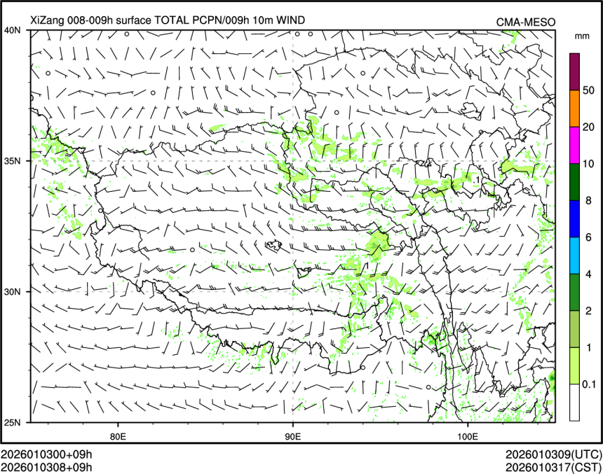 01/03 08时 +009小时