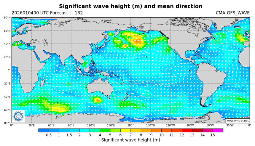 01/04 08时 +132小时