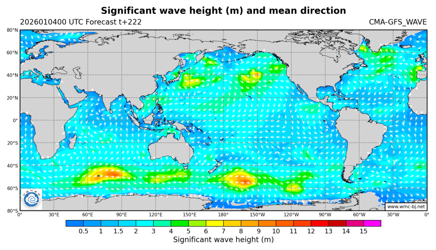 01/04 08时 +222小时