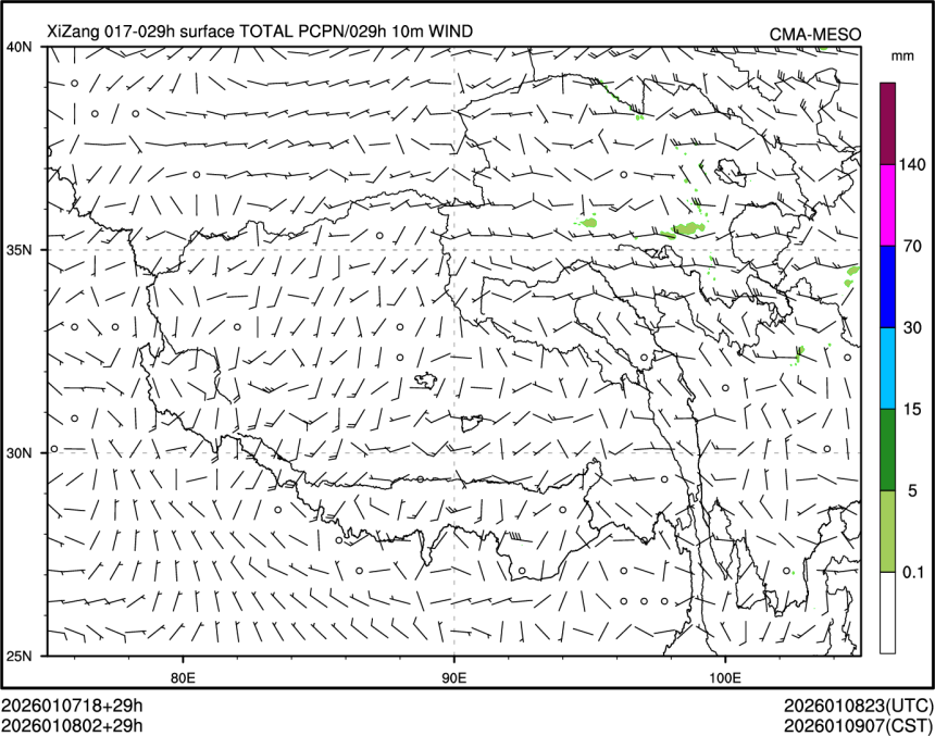 01/08 02时 +029小时