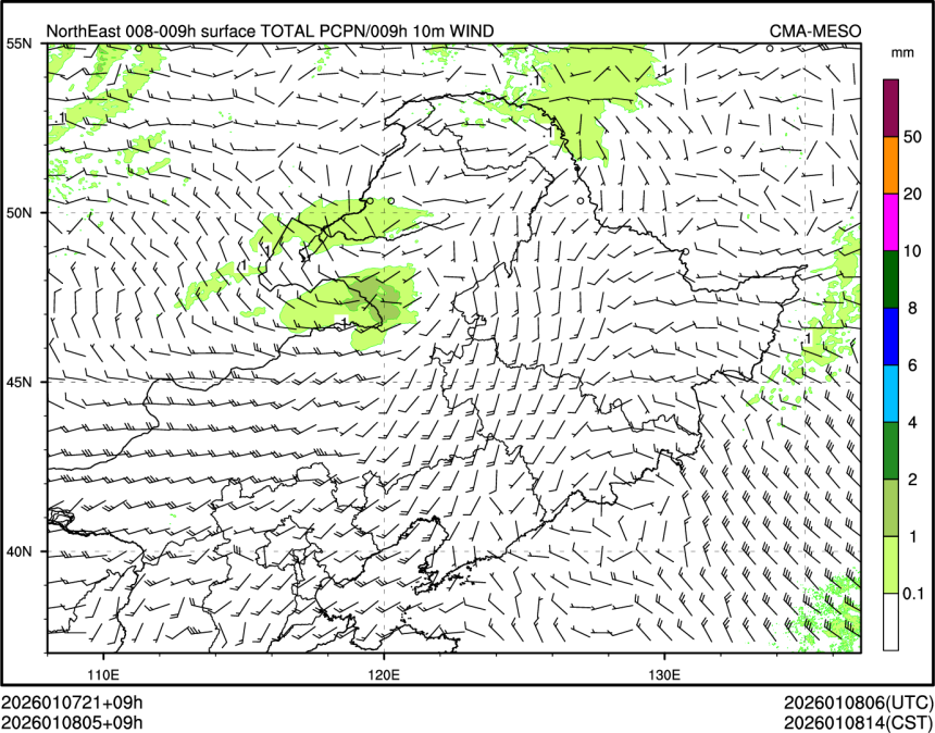 01/08 05时 +009小时