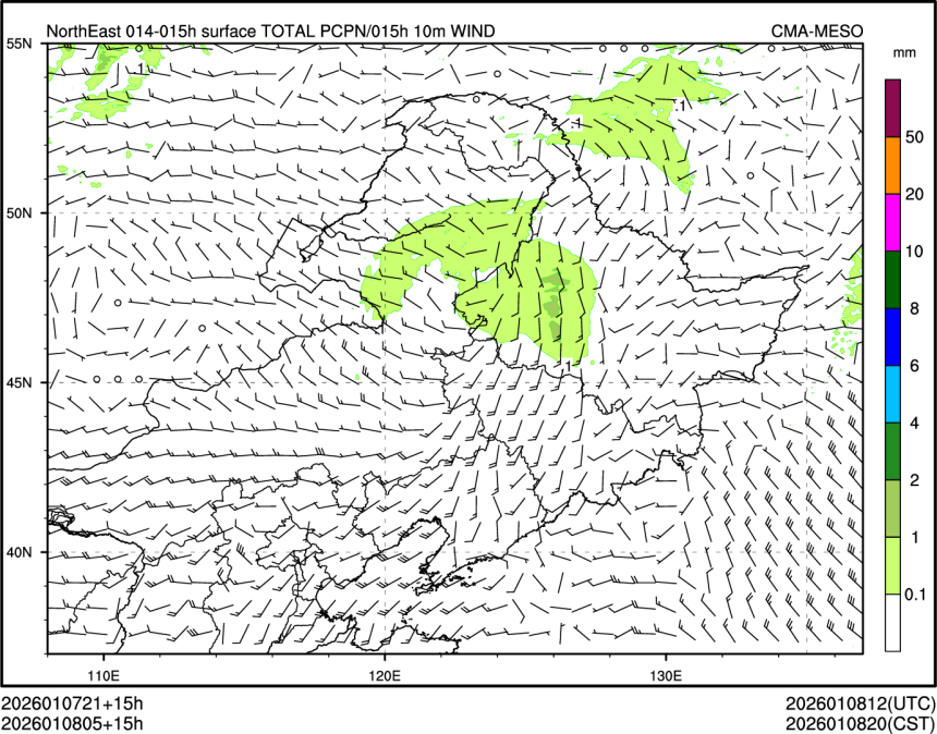 01/08 05时 +015小时