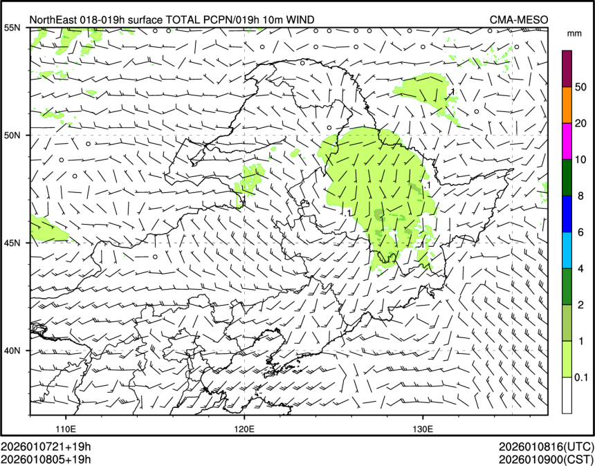 01/08 05时 +019小时