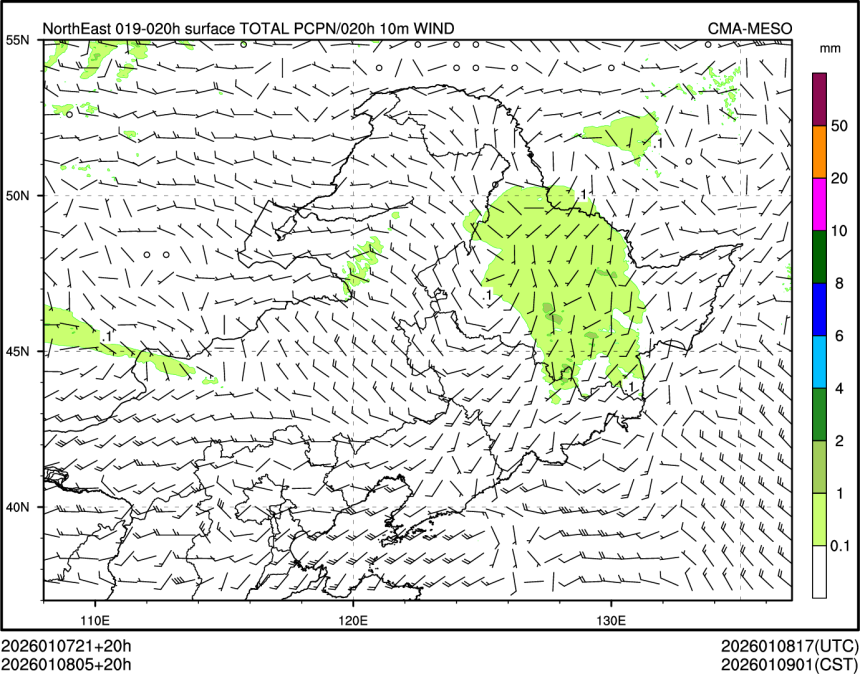 01/08 05时 +020小时