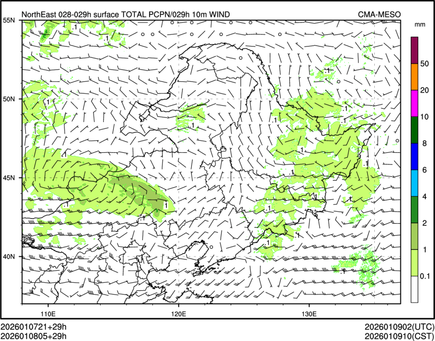 01/08 05时 +029小时