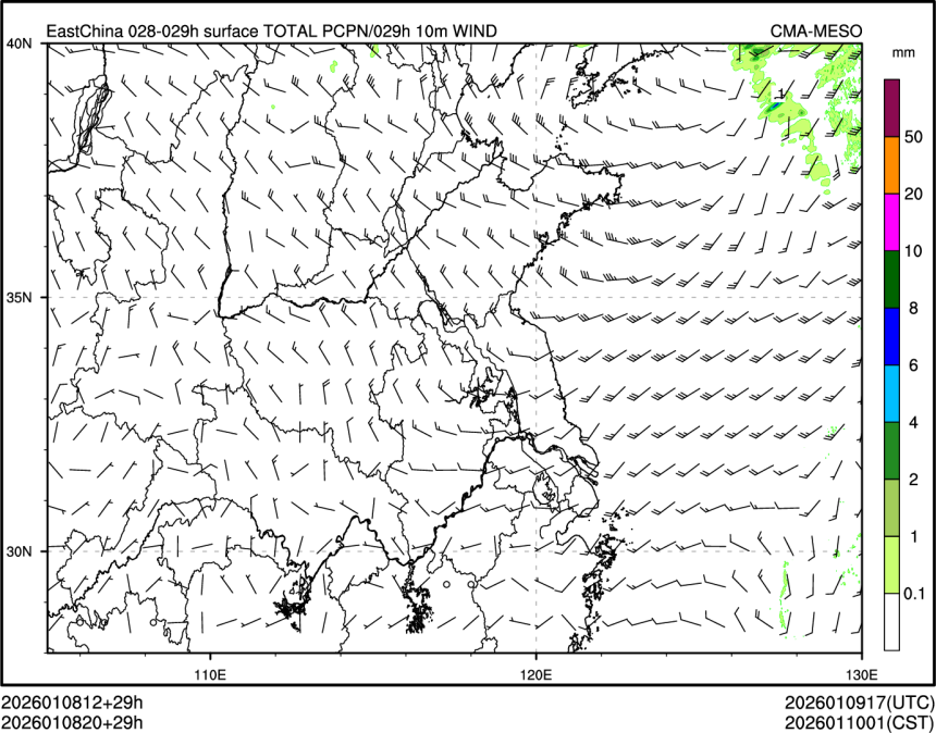 01/08 20时 +029小时