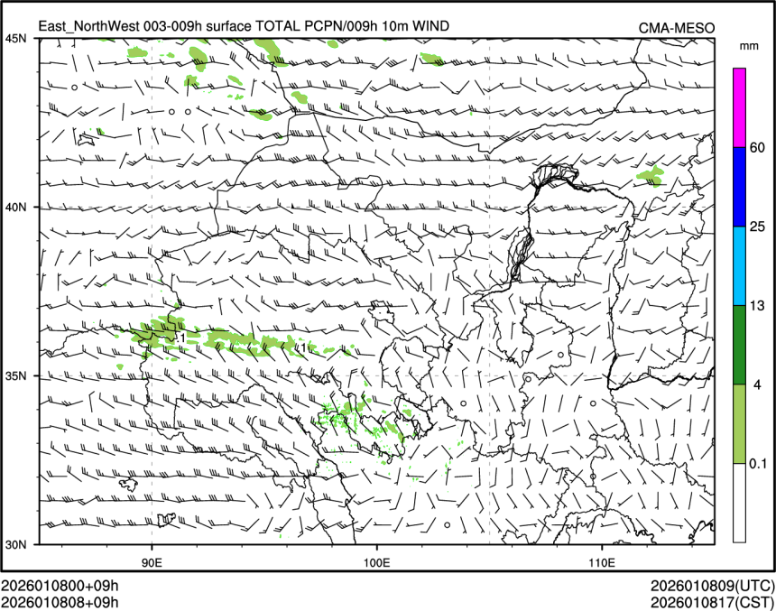 01/08 08时 +009小时