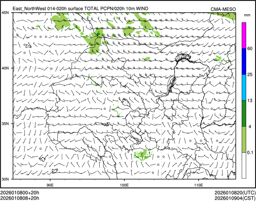 01/08 08时 +020小时