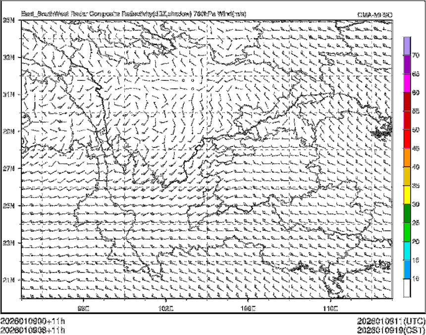 01/09 08时 +011小时