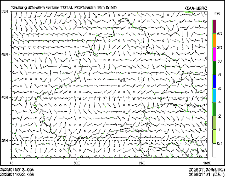 01/10 02时 +009小时