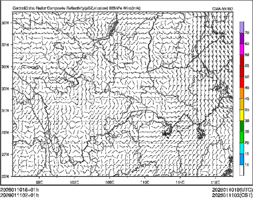 01/11 02时 +001小时