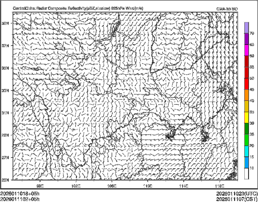 01/11 02时 +005小时