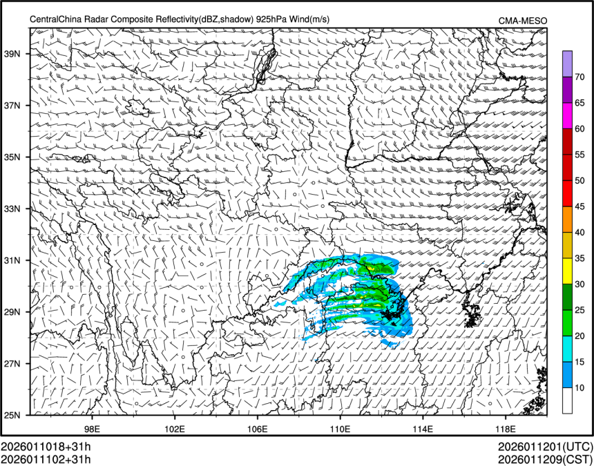 01/11 02时 +031小时