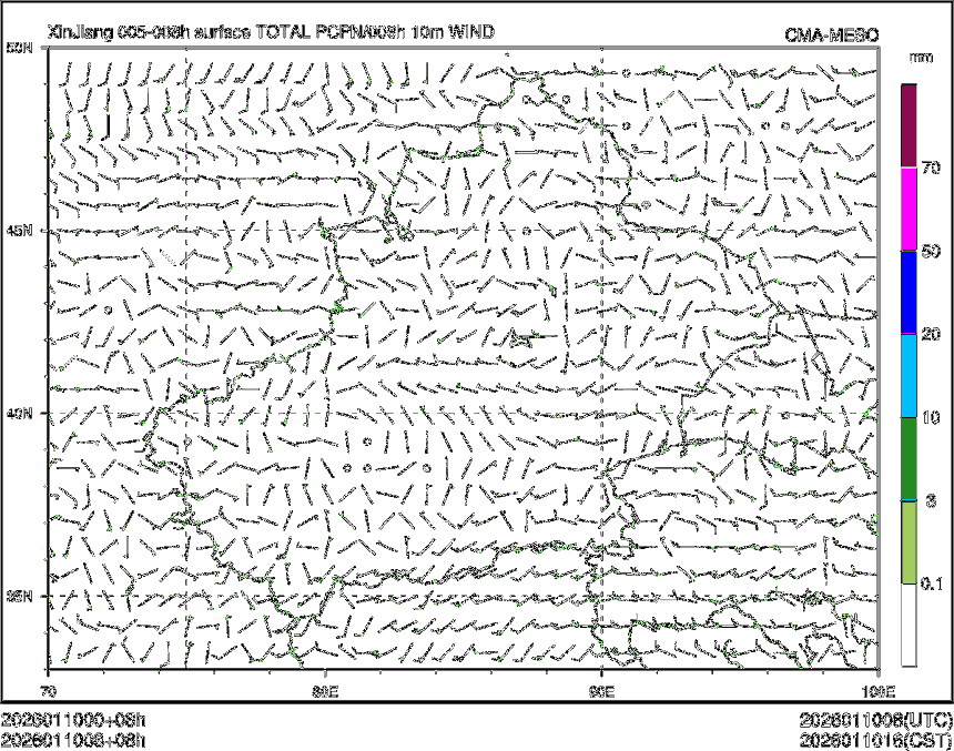 01/10 08时 +008小时