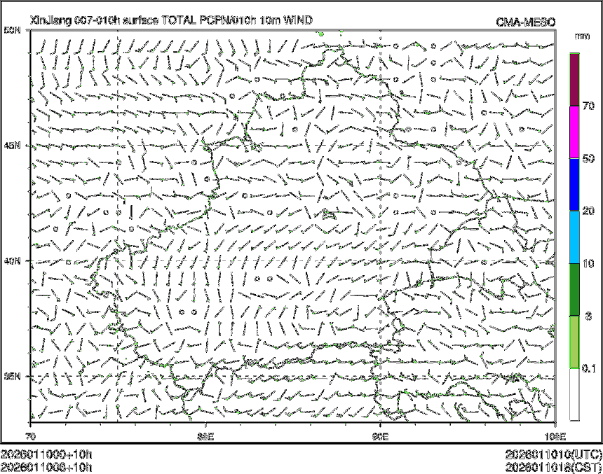 01/10 08时 +010小时