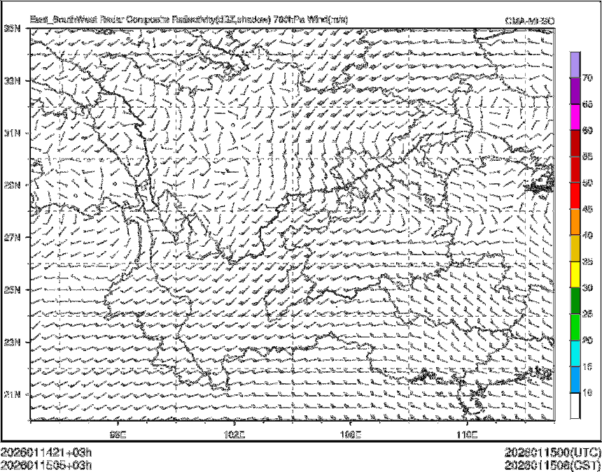 01/15 05时 +003小时