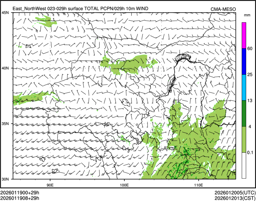 01/19 08时 +029小时