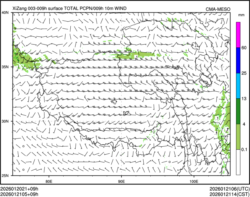 01/21 05时 +009小时