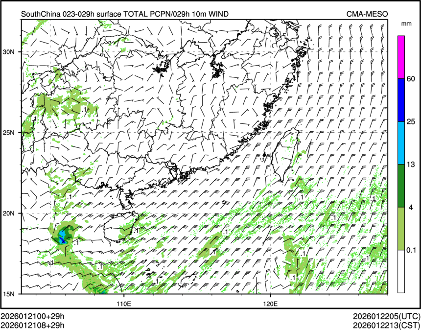 01/21 08时 +029小时