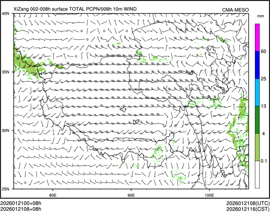 01/21 08时 +008小时