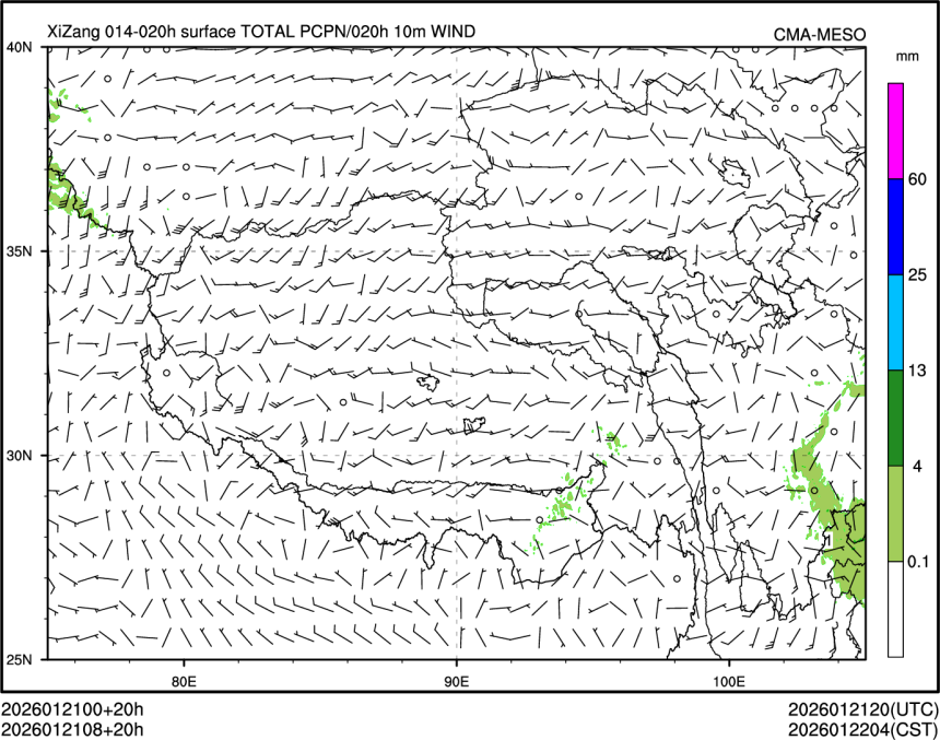 01/21 08时 +020小时