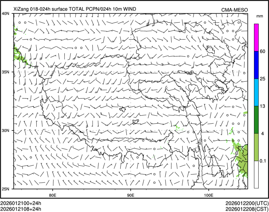 01/21 08时 +024小时