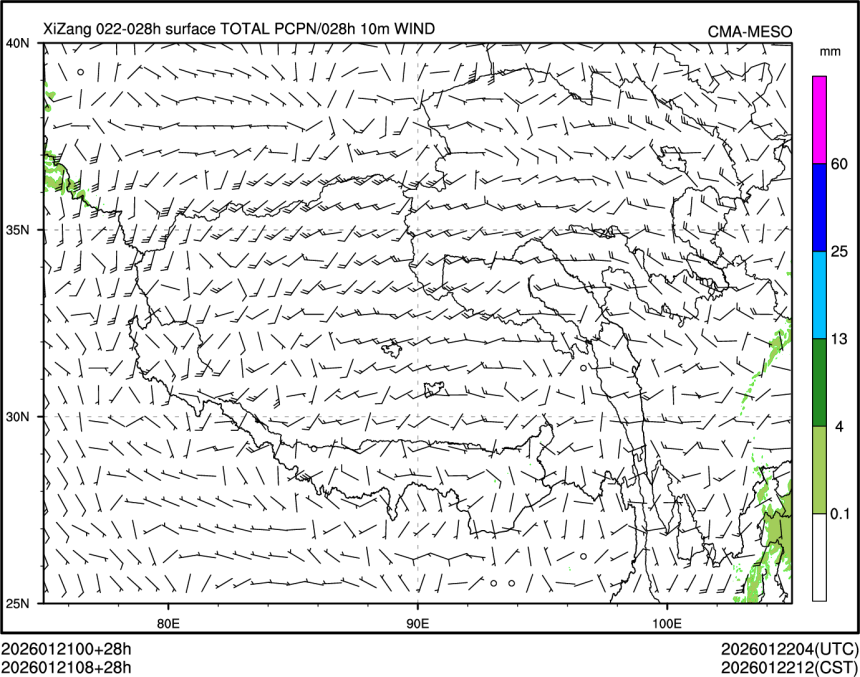 01/21 08时 +028小时