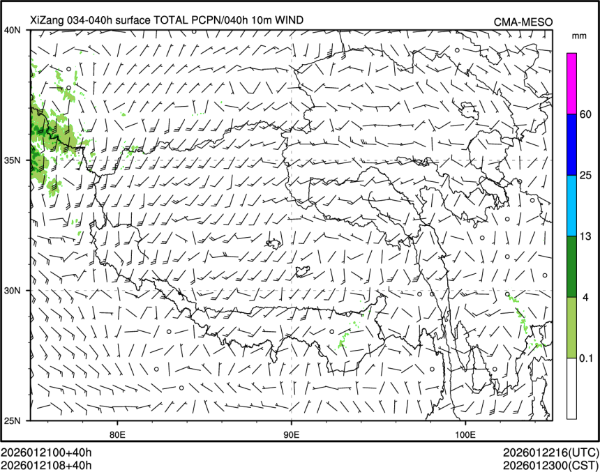 01/21 08时 +040小时