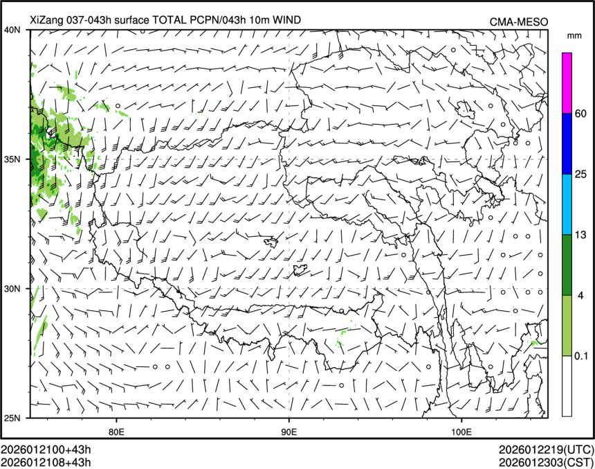 01/21 08时 +043小时
