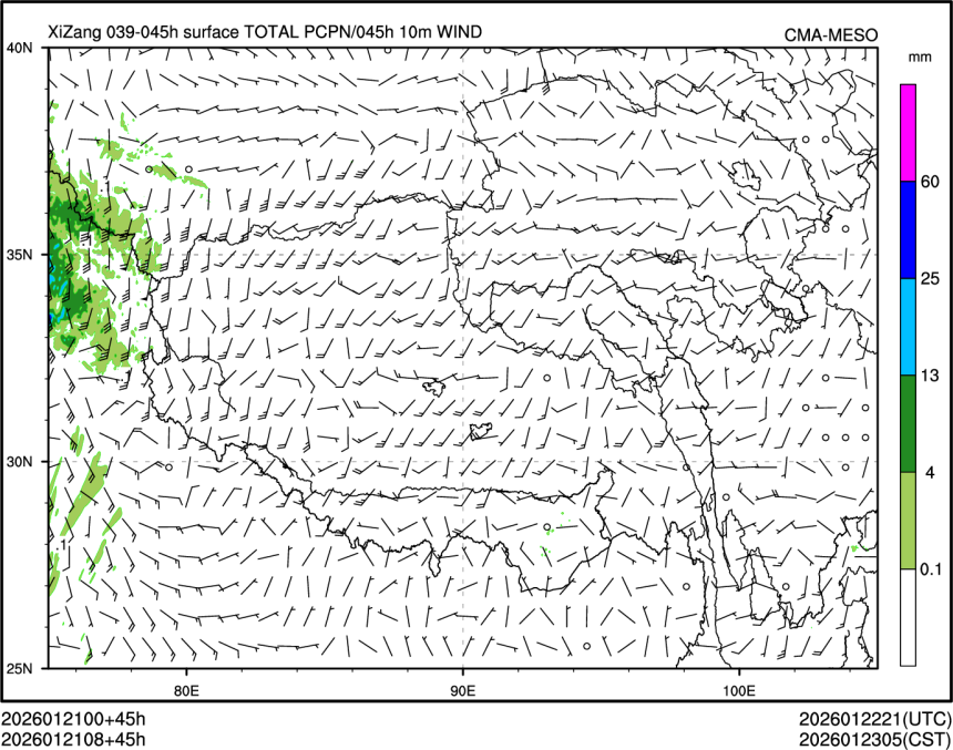 01/21 08时 +045小时