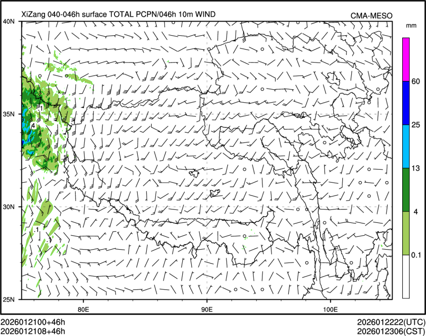 01/21 08时 +046小时