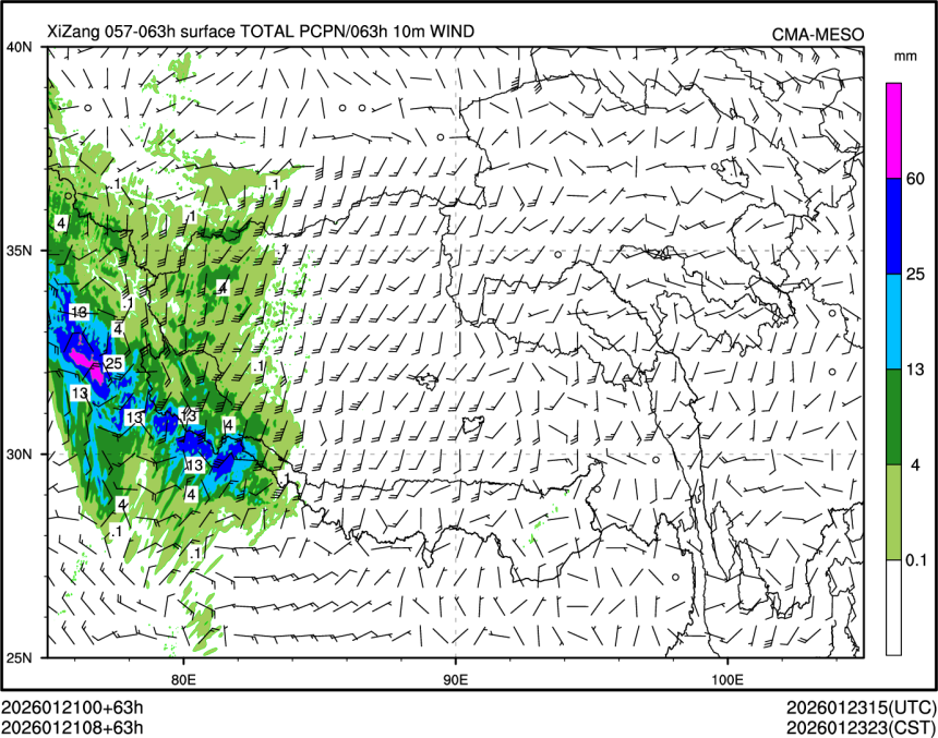 01/21 08时 +063小时